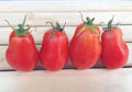 Roma, Tomato Seeds