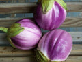 Rosa Bianca, Organic Eggplant Seeds