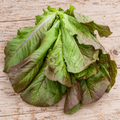 Rouge D'Hiver, Lettuce Seeds