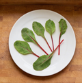 Ruby Fresh, (F1) Swiss Chard Seeds