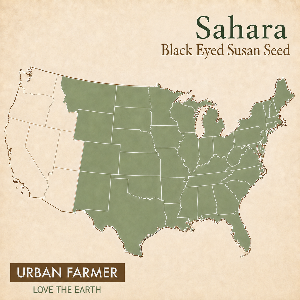 Sahara, Black-Eyed Susan Seed