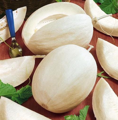 Sakatas Sweet, Melon Seeds