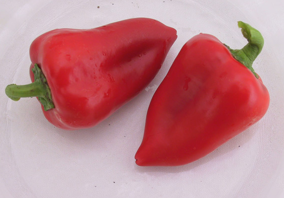 Salsa, (F1) Pepper Seeds