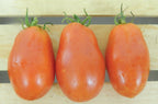 San Marzano, Tomato Seeds