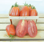 San Marzano, Tomato Seeds