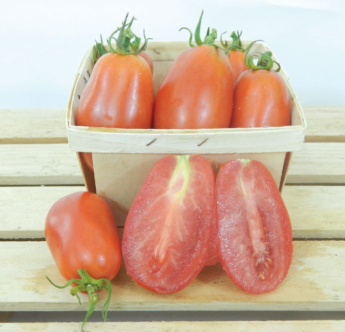 San Marzano, Tomato Seeds