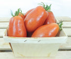 San Marzano, Tomato Seeds
