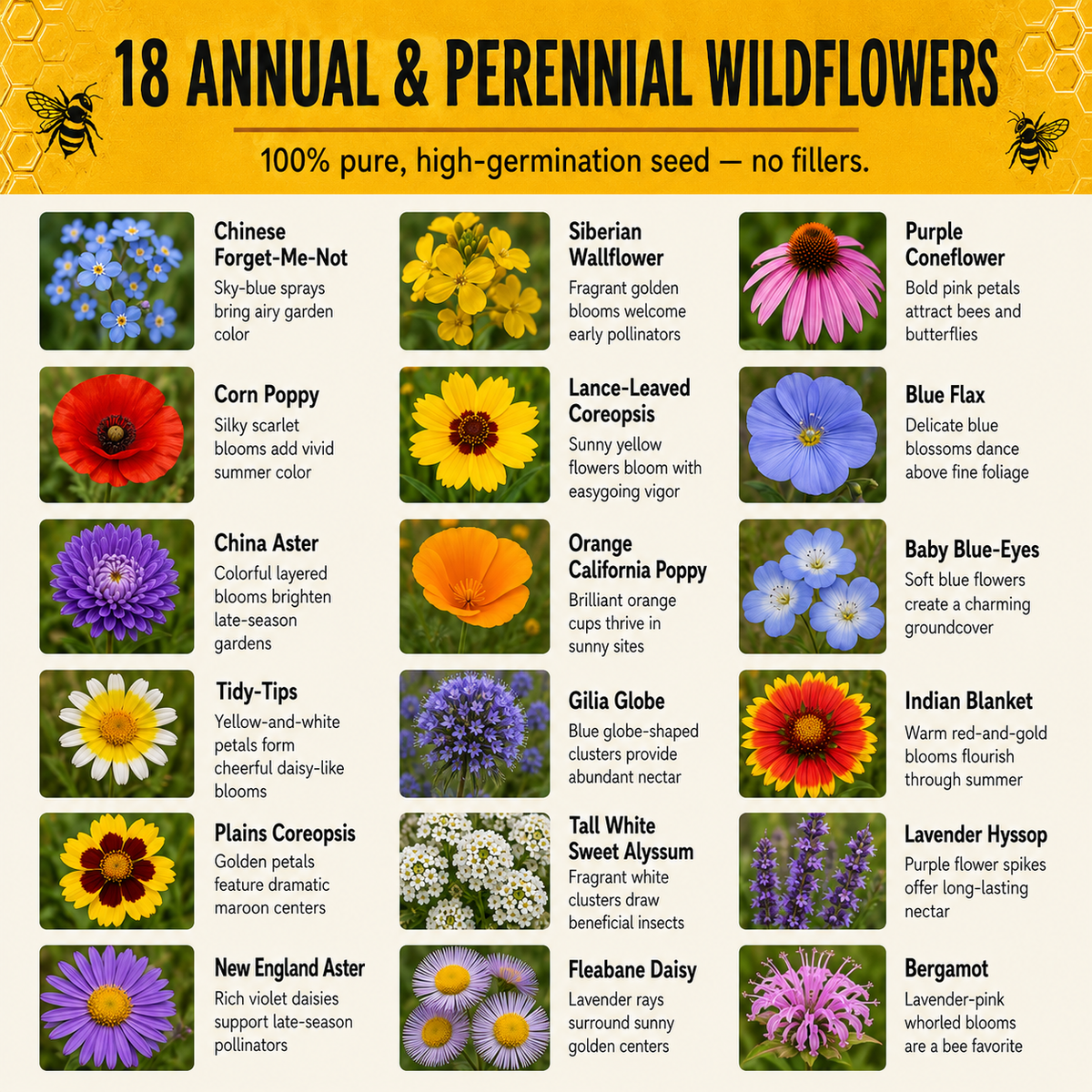 Save The Bees Wildflower mix flower chart