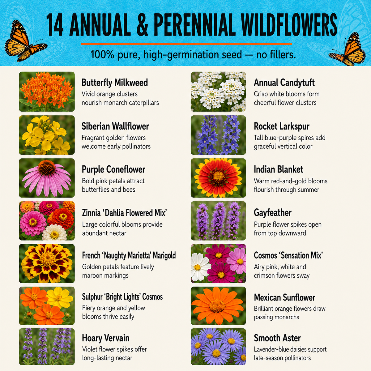 Save The Monarchs Wildflower mix flower chart
