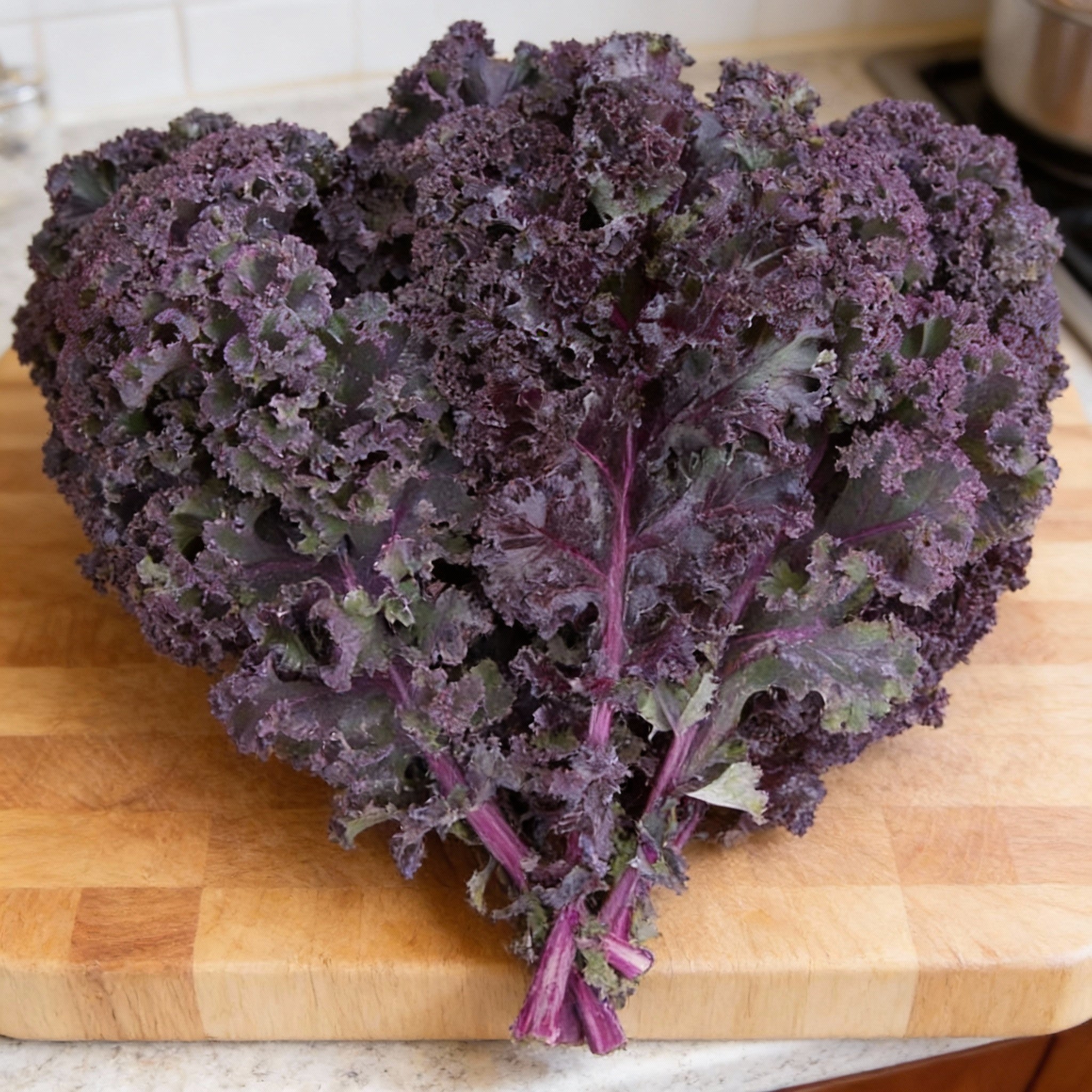 Scarlet, Kale Seed