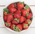 Seascape, Strawberry Plants