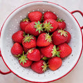 Sequoia, Strawberry Plants
