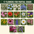 Shade Blend Flower Variety Chart