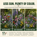 Shade Blend Wildflower Flowers