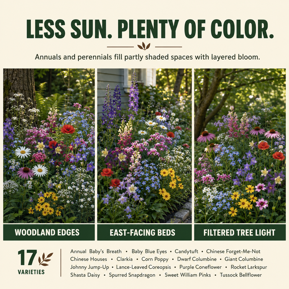 Shade Blend Wildflower Flowers
