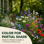 Shade Flowers