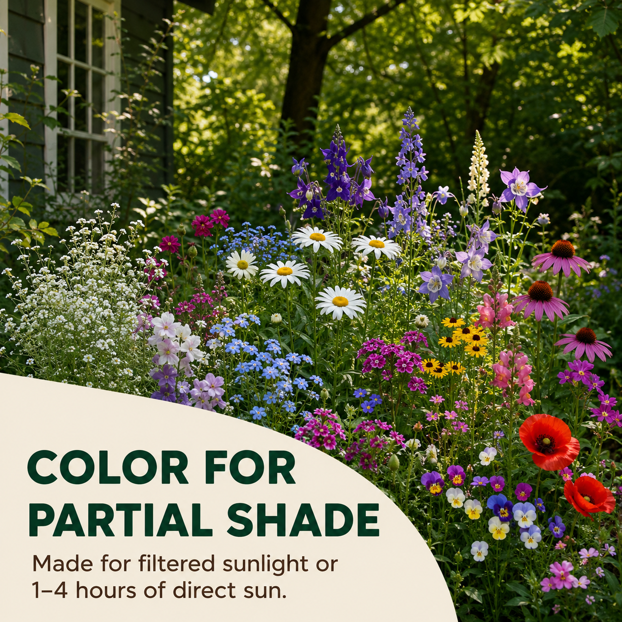 Shade Flowers