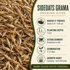 Sideoats Grama growing guide and seed