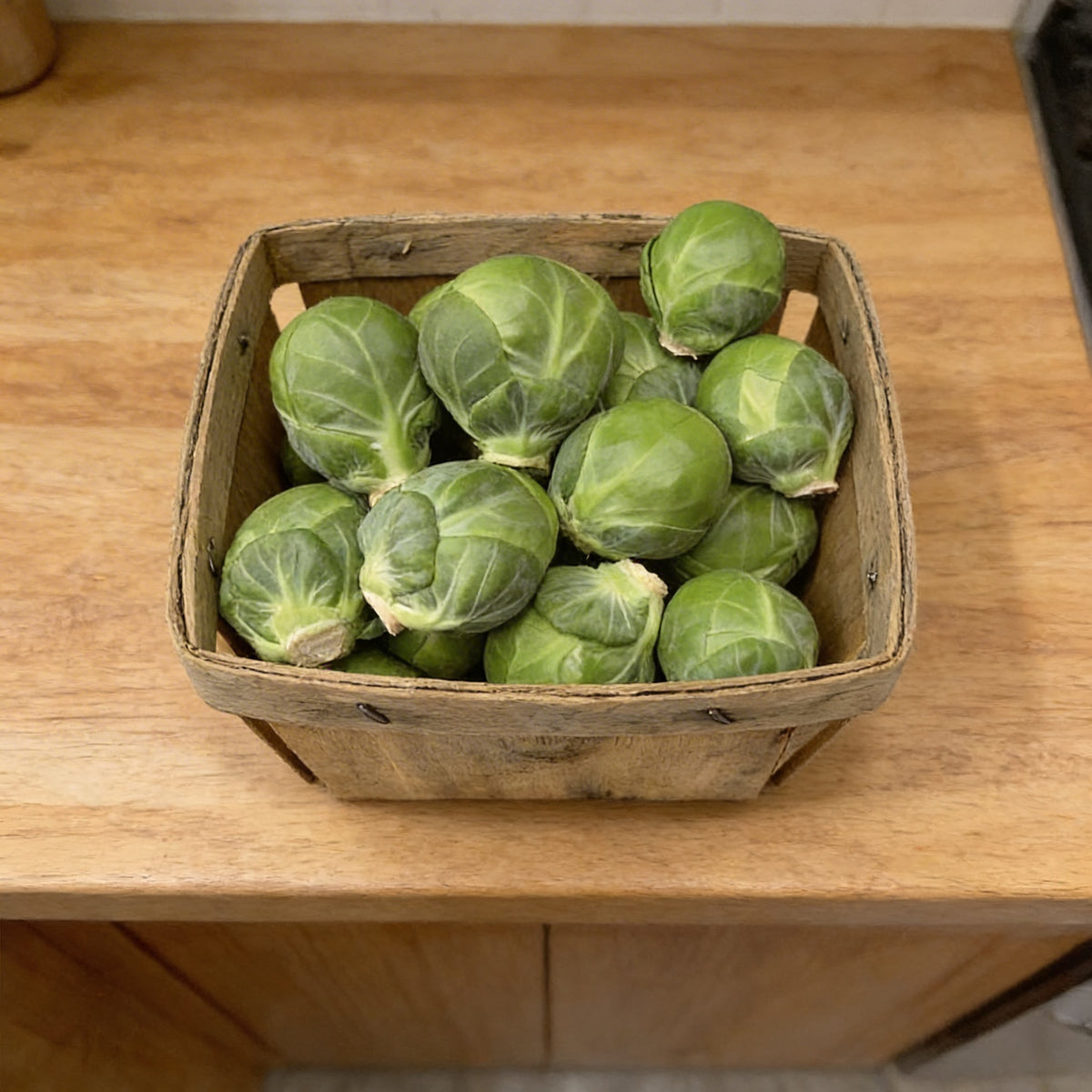 Silvia, (F1) Brussels Sprout Seeds