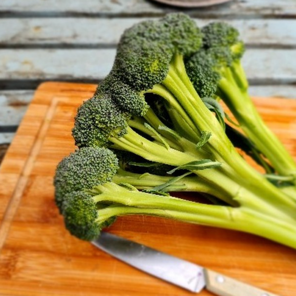 Skytree, (F1) Broccoli Seeds