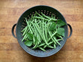 Slenderette, Bean Seeds