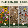 Songbird Wildflower Blend Seed