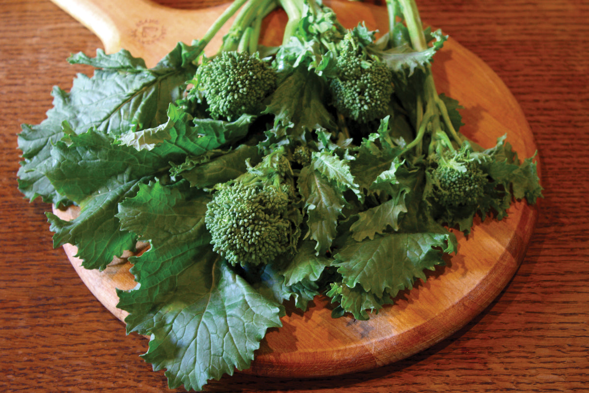 Sorrento, Broccoli Seeds