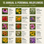Georgia Blend, Wildflower Seed