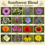Southwest Blend flower variety chart