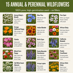 Arizona Blend, Wildflower Seed