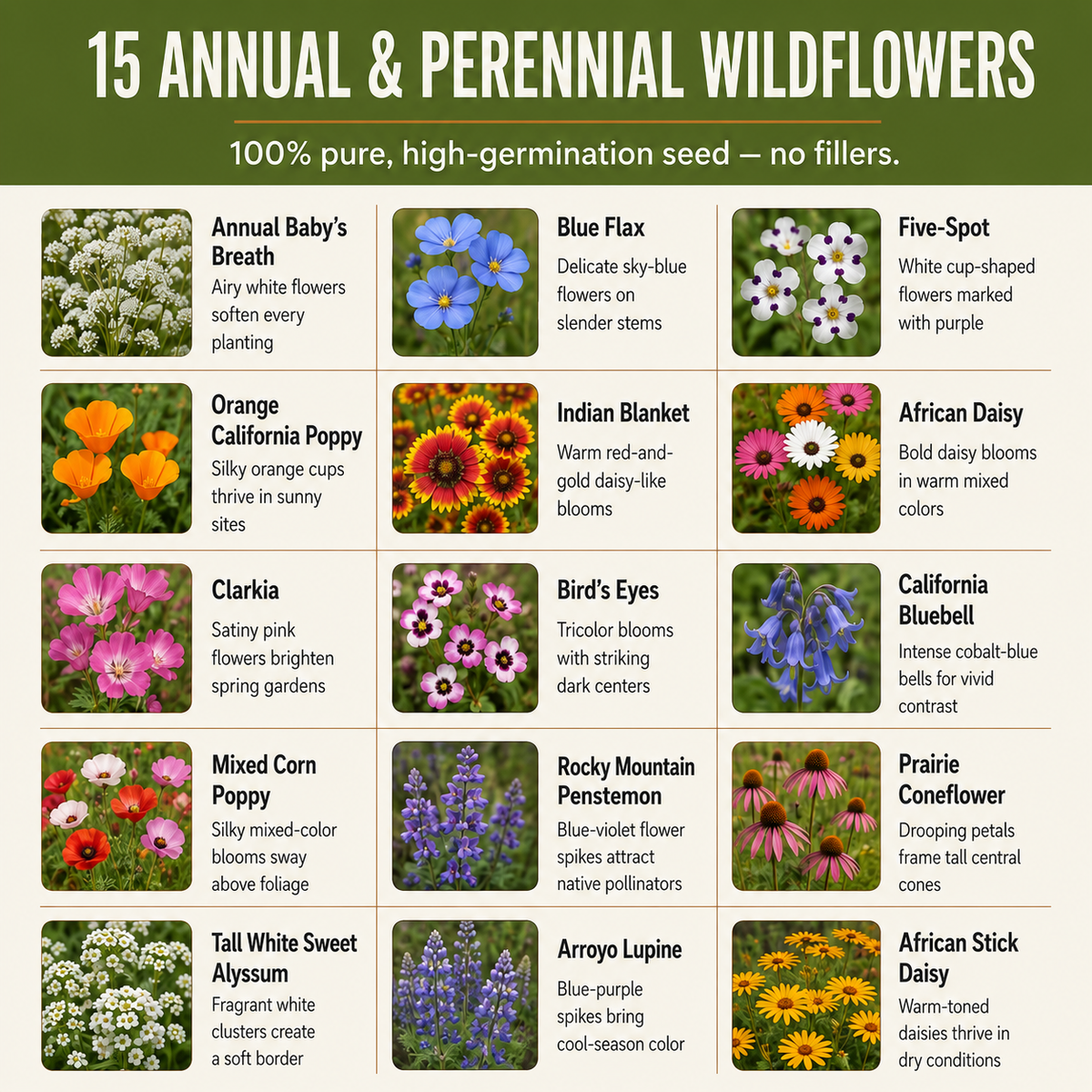Colorado Blend, Wildflower Seed