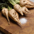 Sugar, Beet Seeds