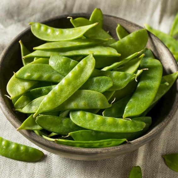 Sugar Lace, Pea Seeds