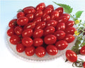 Sugary, (F1) Tomato Seeds