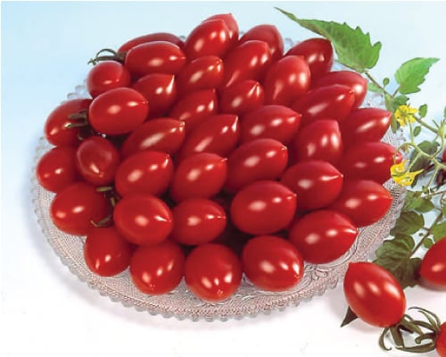 Sugary, (F1) Tomato Seeds