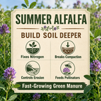 Summer Alfalfa benefits chart