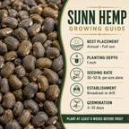 Sunn Hemp growing guide and seed