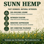 Sunn Hemp nitrogen and soil benefits