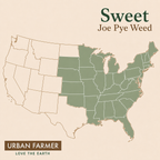Sweet Joe Pye Weed native map