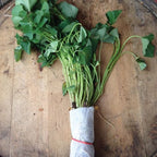 White Yam, Sweet Potatoes Slips