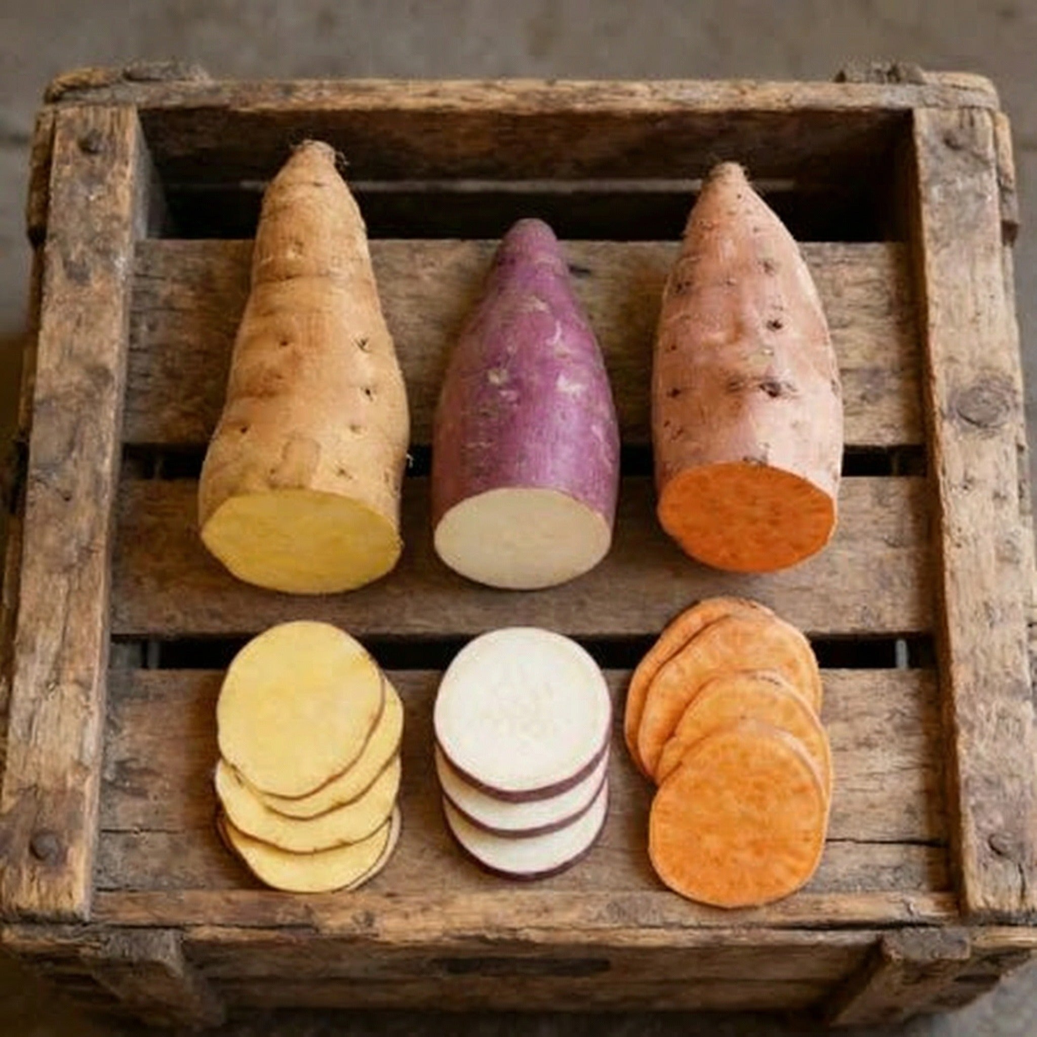 Sweet Potato Lover's Mix, Potato Slips