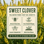 Sweet Clover pollinator and soil benefits