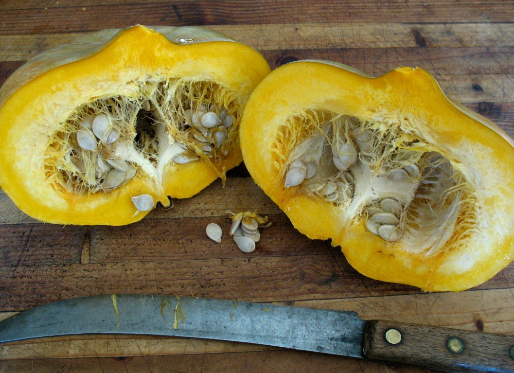 Sweet Meat, Squash Seeds