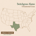 Switchgrass Alamo ornamental grass native map