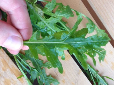 Sylvetta Arugula, Greens