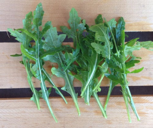 Sylvetta Arugula, Greens