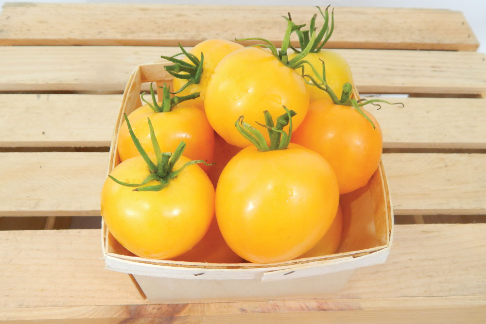 Taxi, Tomato Seeds