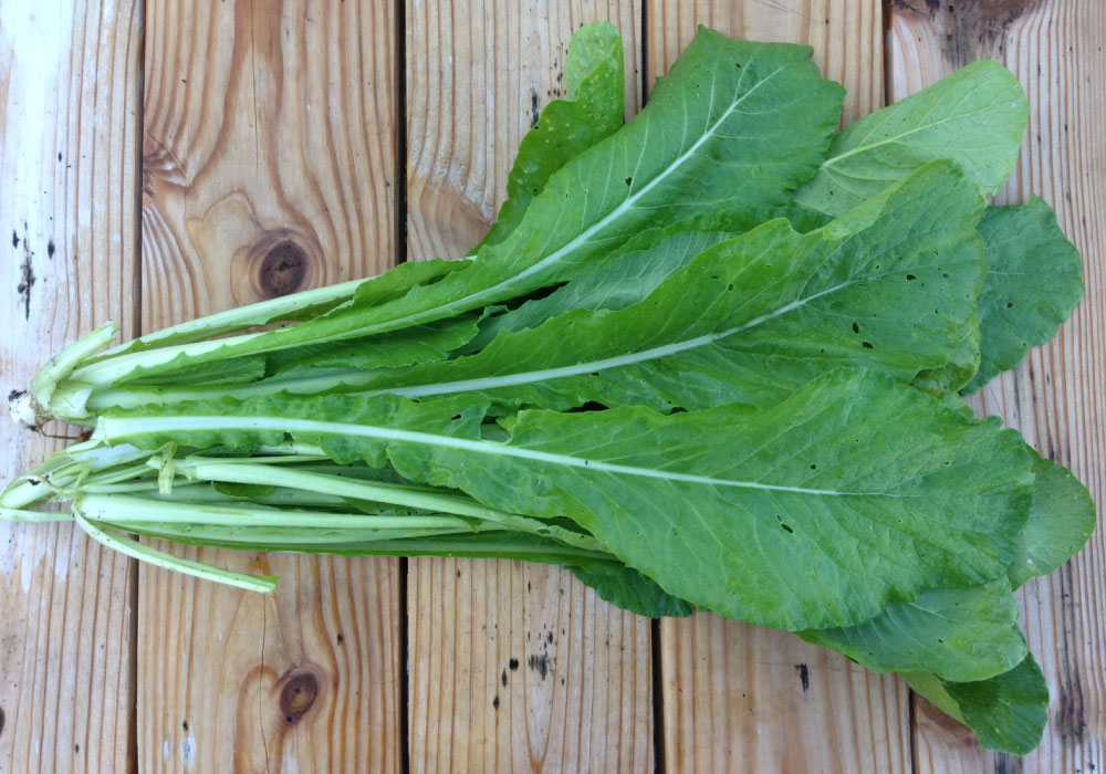 Tendergreen, Mustard Seeds