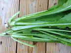 Tendergreen, Mustard Seeds