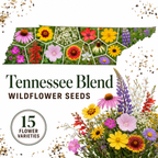 Tennessee Blend, Wildflower Seed